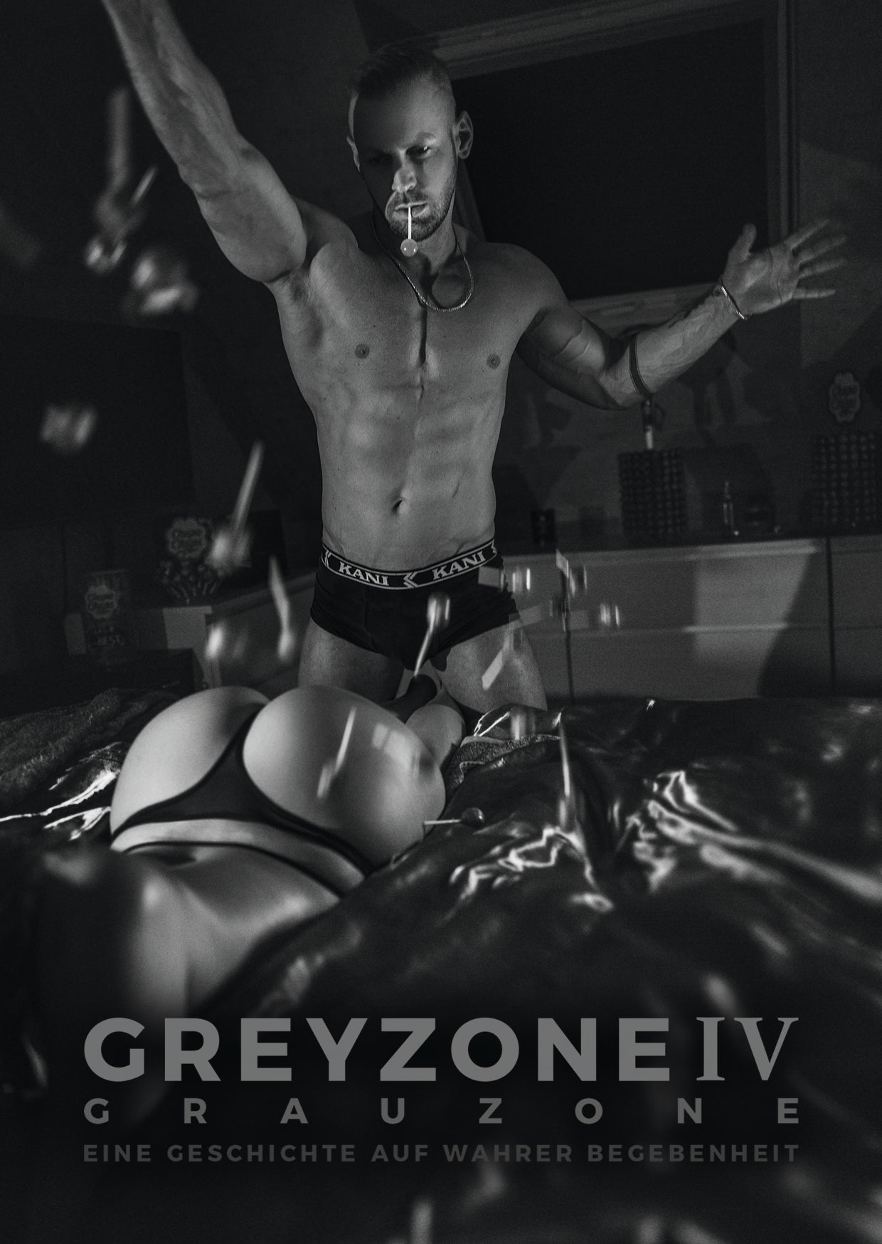 E-Book ‘‘GREYZONE IV''