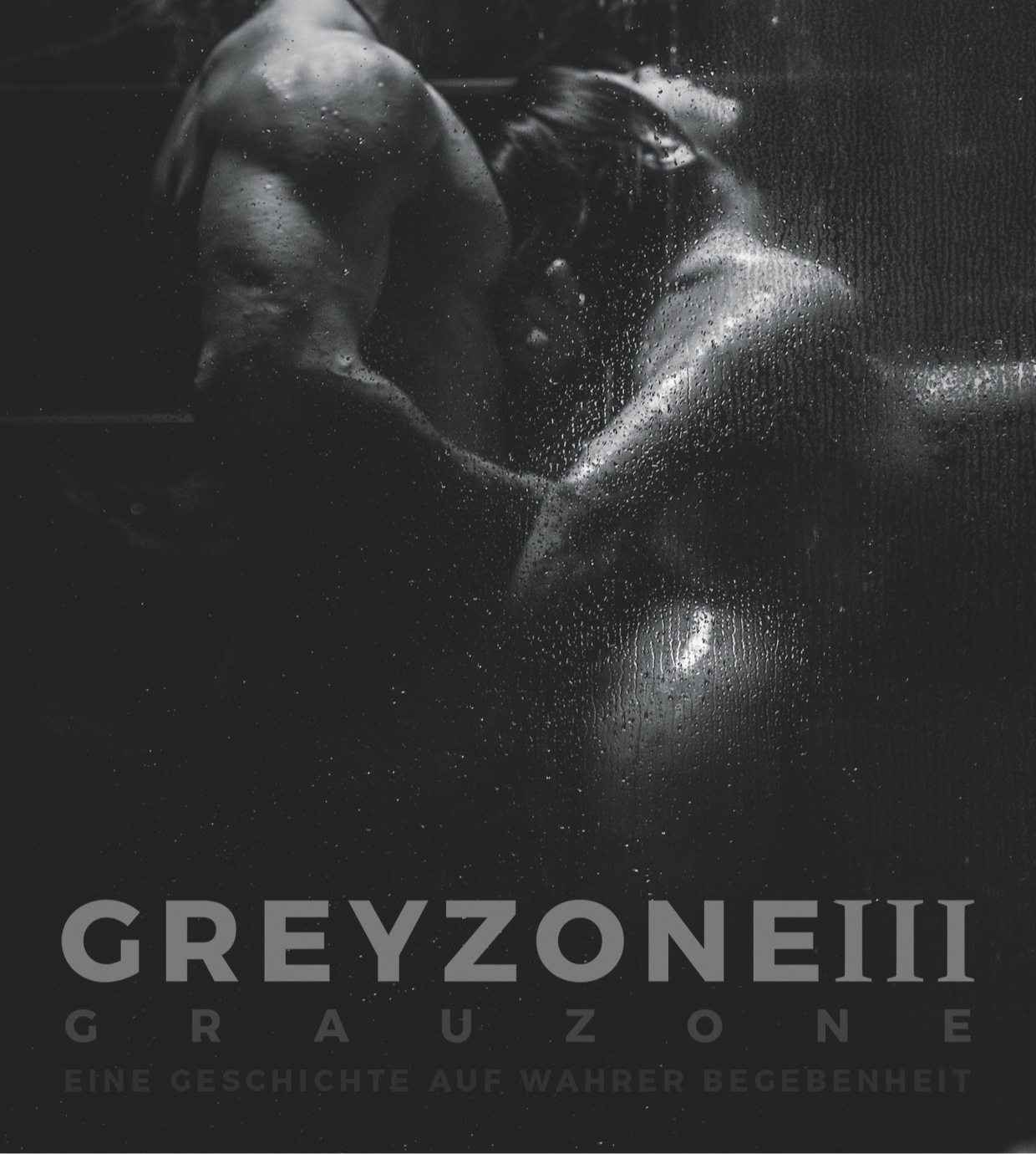 E-Book ‘‘GREYZONE III''